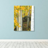 Colorado Espen Designer Ingepakt Canvas Afdruk (Insitu (Houten vloer))