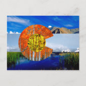 Colorado Flag Briefkaart (Voorkant)