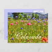 Colorado floral briefkaart (Voorkant / Achterkant)