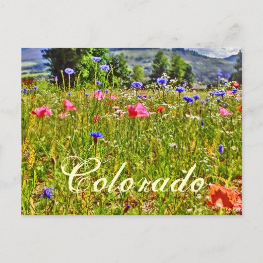 Colorado floral briefkaart (Voorkant)