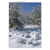 Colorado Forest Beauty-kerstkaart (Voorkant)