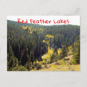 Colorado Forest Pines met geel najaar Briefkaart