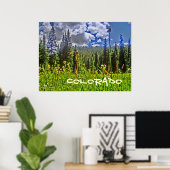 Colorado forrest schilderachtig poster (Thuiskantoor)