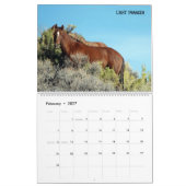 Colorado Foster to Adopt Calendar Kalender (Feb 2027)