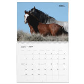 Colorado Foster to Adopt Calendar Kalender (Mar 2027)