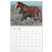 Colorado Foster to Adopt Calendar Kalender (Jan 2027)