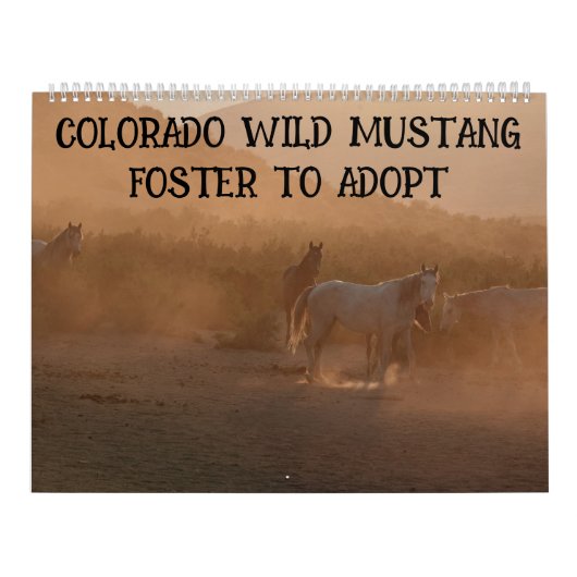 Colorado Foster to Adopt Calendar Kalender (Hoes)