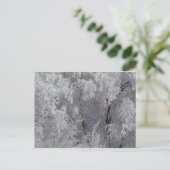 Colorado Frosty Morning Briefkaart (Staand voorkant)