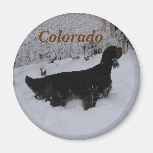 Colorado Gordon Setter Magneet (Voorkant)