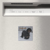 Colorado Gordon Setter Puppy Magnet (Insitu (Vaatwasser))