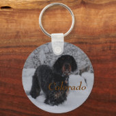Colorado Gordon Setter Puppy Sleutelhanger (Voorkant)
