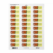 Colorado Grand Canyon Eagle Retouradres Label (Full Sheet)