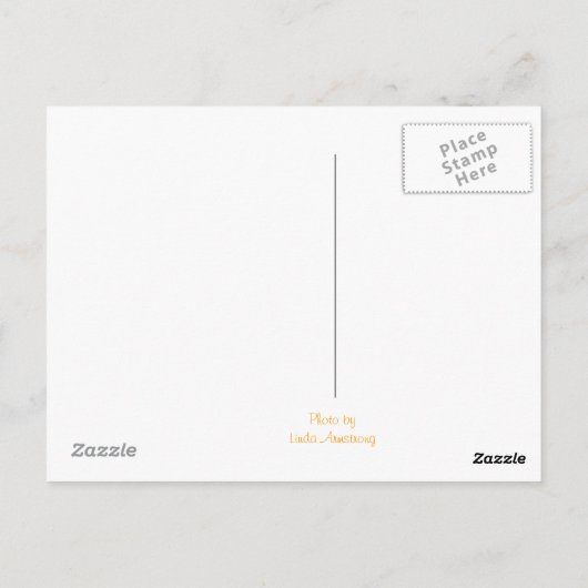 Colorado,Grand Junction Briefkaart (Achterkant)