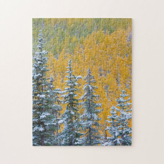 Colorado, Grand Mesa. Vroege sneeuwval in het bos Legpuzzel (Verticaal)