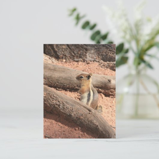 Colorado Ground Squirrel Briefkaart (Staand voorkant)