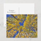 Colorado Herfst | Espenbos | Gefeliciteerd Briefkaart (Voorkant / Achterkant)