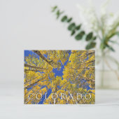 Colorado Herfst | Espenbos | Gefeliciteerd Briefkaart (Staand voorkant)