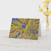 Colorado Herfst | Espenbos | Gefeliciteerd Kaart (Gele Bloem)