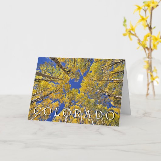 Colorado Herfst | Espenbos | Gefeliciteerd Kaart (Gele Bloem)
