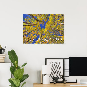 Colorado herfst Espenbos in de herfst Poster
