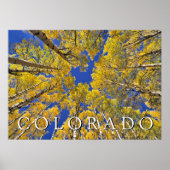 Colorado herfst | Espenbos in de herfst Poster (Voorkant)