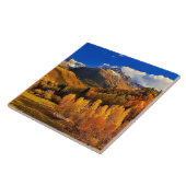 Colorado herfst tegeltje (Zijkant)