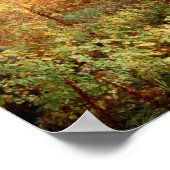 Colorado, herfstkleuren van espbomen poster (Hoek)