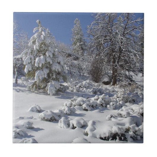 Colorado High Country Winter Tegel Tegeltje (Voorkant)