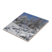 Colorado High Country Winter Tegel Tegeltje (Zijkant)