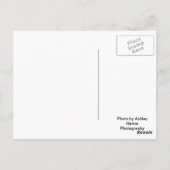 Colorado Hike Briefkaart (Achterkant)