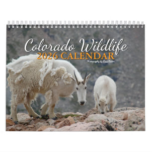 Colorado Kalender met Wilde Dieren