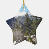 Colorado Keramisch Ornament (Links)