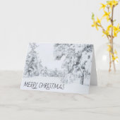 COLORADO KERSTMIS KAART (Gele Bloem)