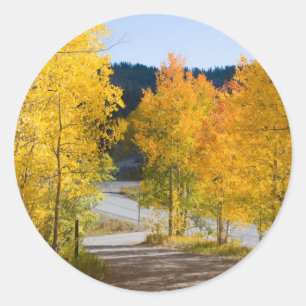 Colorado kleur Stickers