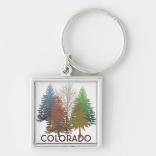 Colorado-kleurrijke sleutelhanger