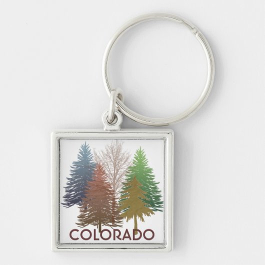 Colorado-kleurrijke sleutelhanger (Voorkant)