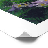 COLORado-kolommen Poster (Hoek)