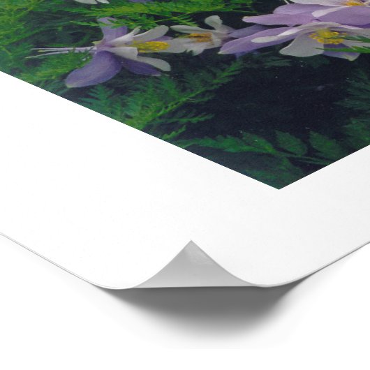 COLORado-kolommen Poster (Hoek)