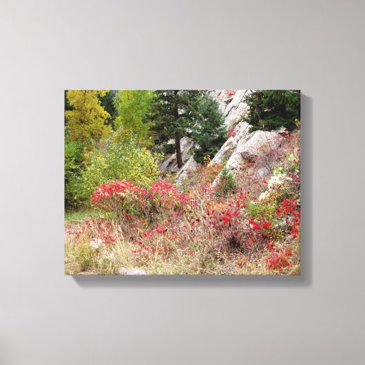 Colorado Landscape Series Canvas Afdruk (Voorkant)