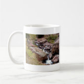 Colorado Landscape Works Koffiemok (Links)