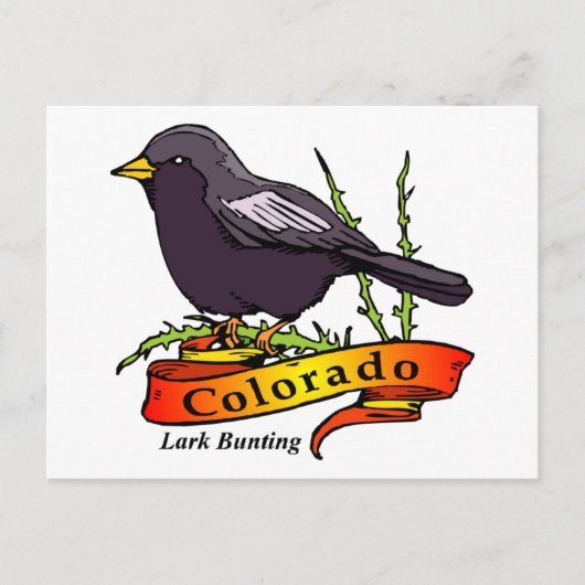 Colorado Lark Bunting Briefkaart (Voorkant)