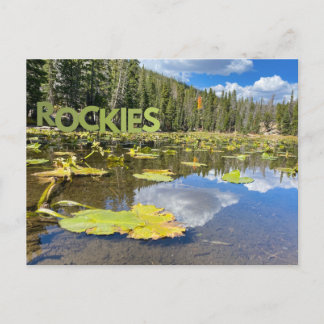 Colorado Lily Pad Rocky Mountains Lake Briefkaart