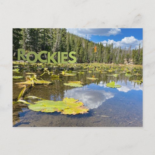 Colorado Lily Pad Rocky Mountains Lake Briefkaart (Voorkant)