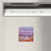 Colorado Magneet (Insitu (Vaatwasser))