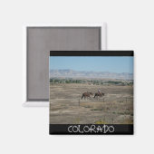 COLORADO Magneet (Voorkant / Achterkant)