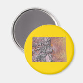 Colorado Map Magnet (Voorkant / Achterkant)