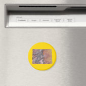 Colorado Map Magnet (Insitu (Vaatwasser))