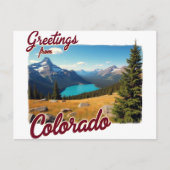  Colorado met Schilderachtig Mountain Lak Briefkaart (Voorkant)
