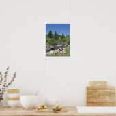Colorado Mountain Stream Poster (Keuken)