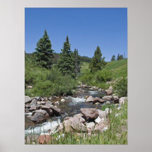 Colorado Mountain Stream Poster (Voorkant)